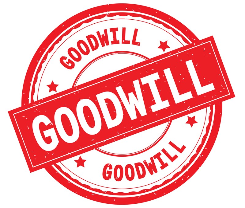 Lees meer over het artikel Niet twee keer afschrijven op goodwill