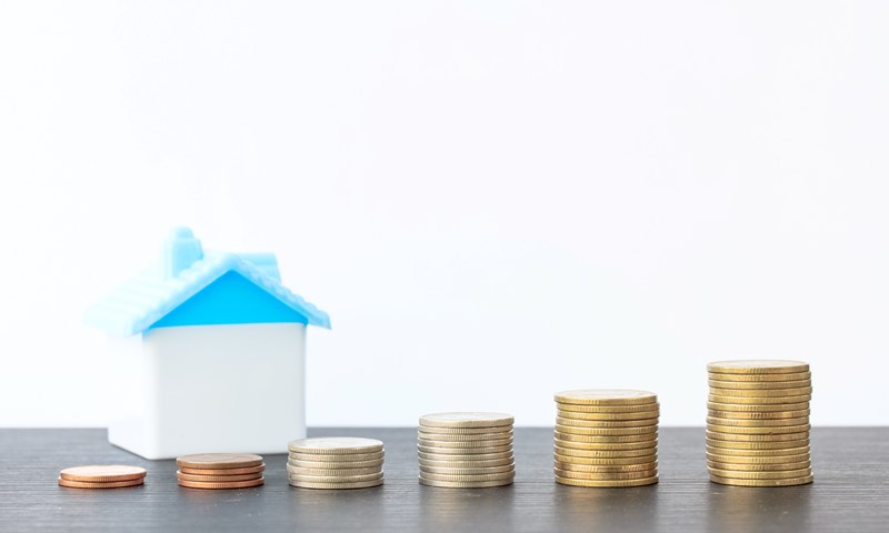 Lees meer over het artikel Excessieve rente op aandeelhoudersleningen doorbreekt fbi-status