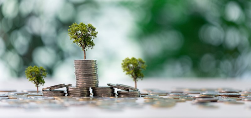 Lees meer over het artikel Kabinet dicht belastinglek in box 3 bij obligaties