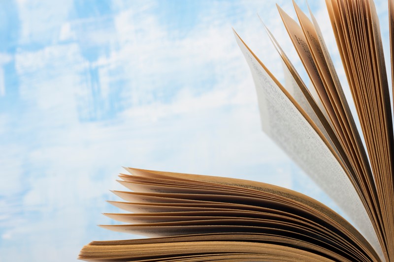 Lees meer over het artikel Handboek Dienst Toeslagen nu voor iedereen beschikbaar